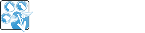 Bustillo Animal Hospital Miami