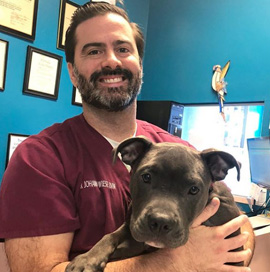 Johann Wiese at Bustillo Animal Hospital in Miami